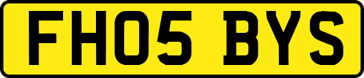 FH05BYS