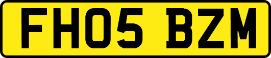 FH05BZM