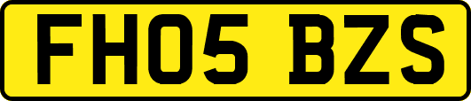 FH05BZS