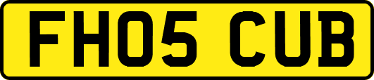 FH05CUB