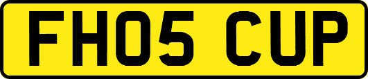 FH05CUP