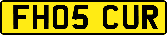 FH05CUR