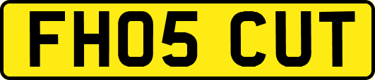 FH05CUT