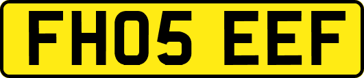 FH05EEF