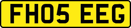 FH05EEG
