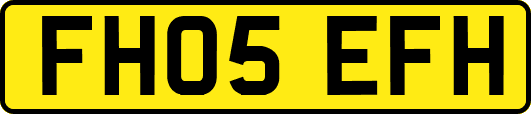 FH05EFH