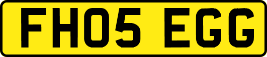 FH05EGG
