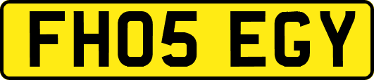 FH05EGY