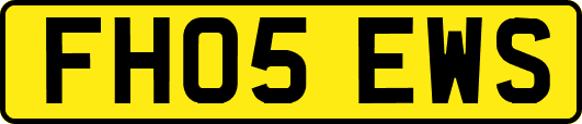 FH05EWS