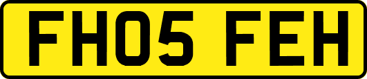FH05FEH