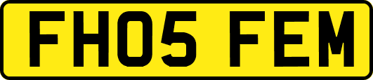 FH05FEM