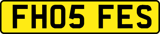 FH05FES
