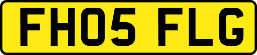 FH05FLG