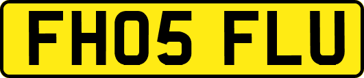 FH05FLU