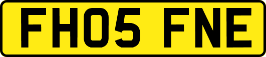 FH05FNE