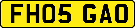 FH05GAO