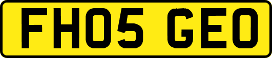 FH05GEO
