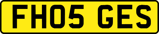 FH05GES