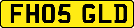 FH05GLD
