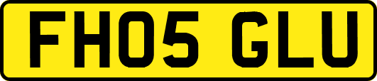 FH05GLU