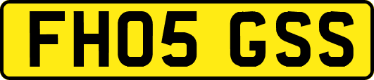 FH05GSS