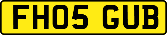 FH05GUB