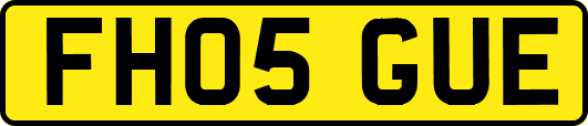 FH05GUE