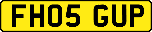 FH05GUP