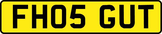 FH05GUT