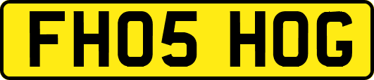 FH05HOG