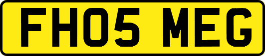 FH05MEG