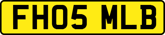FH05MLB