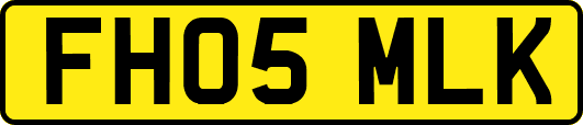 FH05MLK