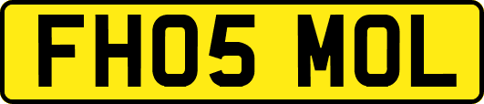 FH05MOL