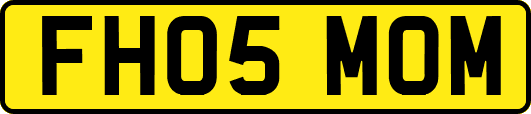 FH05MOM