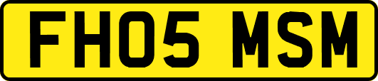 FH05MSM