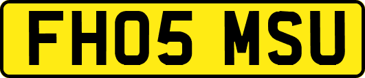 FH05MSU