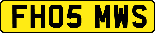 FH05MWS