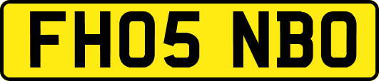 FH05NBO