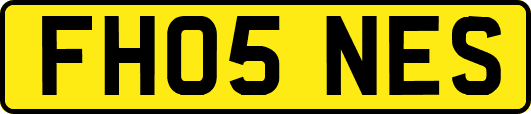 FH05NES