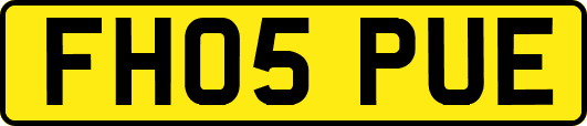 FH05PUE