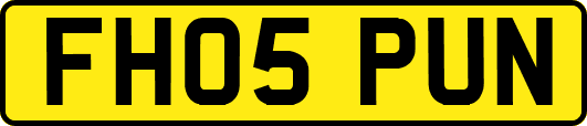 FH05PUN