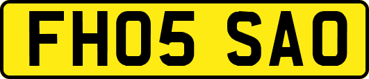 FH05SAO
