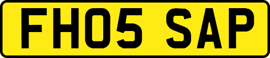 FH05SAP