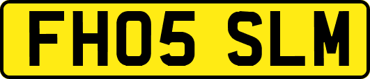 FH05SLM