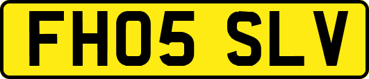 FH05SLV
