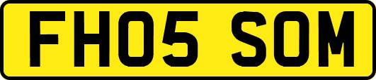 FH05SOM