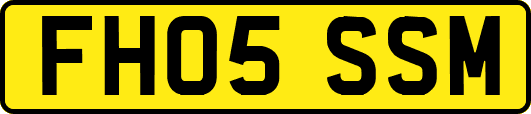 FH05SSM
