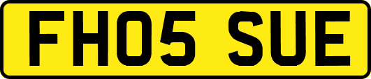 FH05SUE