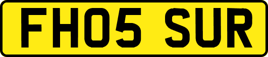 FH05SUR